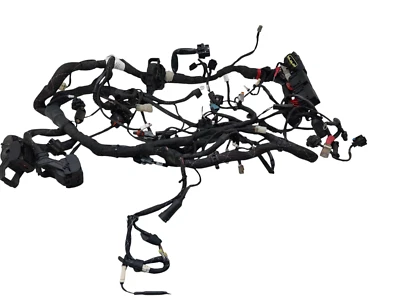 Wiring Electrical System Ducati Multistrada 950 2019/2021 5101E971C - Image 1 of 4