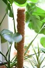 Moss Pole 80cm - Coco Coir Pole - House Plant Support - Totem - Monstera Pole 