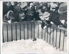 1935 New York Two Grounhogs 1 Saw Shadow But the Other Just Stayed Press Photo