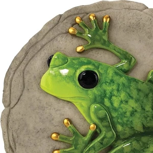 Spoontiques -Garden Décor - Raised Frog Stepping Stone - Decorative Stone for Ga - Picture 1 of 4
