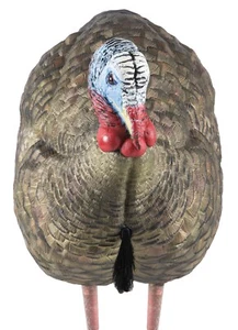 Avian X AVXAVX8012 LCD Half-Strut Jake Turkey Species Multi Color Dura-Rubber - Picture 1 of 2