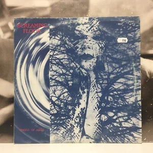 SCREAMING FLOOR - BRIDGE OF ASHES 12" EP VG+/VG+ 1988 ITALY TOAST TDLP 856 - Bild 1 von 2
