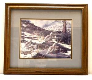 DAVID MAASS Partridge Print Wood Framed Dimensions 17.5" x 15" Wildlife Game Art - Picture 1 of 8