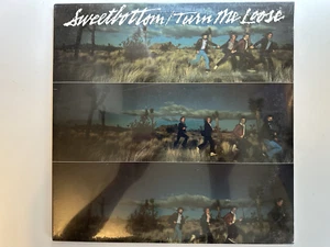 SWEETBOTTOM - TURN ME LOOSE (1979 VINYL LP RECORD) - NEW/SEALED!!! - Picture 1 of 2