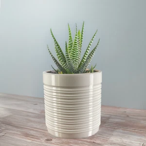 2 or 4 Inch - 3 color options - Modern 3D Printed Plant Pot Planter, "Hatch Grid - Picture 1 of 3