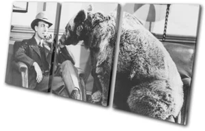 Thinking Man and Bear 1940s comedy Humour TREBLE LONA pared arte Foto impresion - Imagen 1 de 1