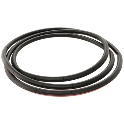 Weatherstrip Seal Rear Left Hand Side for VW Driver Volkswagen Tiguan Limited Foto 1 de 2