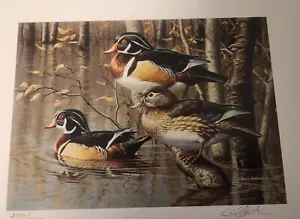 Vintage 1999 Seven Devils Wood Ducks Stamp Print Arkansas Migratory Hunting - Bild 1 von 9