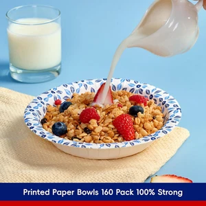 160 Count Paper Bowls 20 Oz Soak Proof, Heavy Duty Printed Disposable Bowls B... - Picture 1 of 12