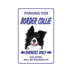 BORDER COLLIE Sign Or Decals dog dogs groomer breeder pet animal - Picture 1 of 3