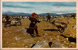 Postal vintage de Finlandia Noruega Laponia B229 - Imagen 1 de 2