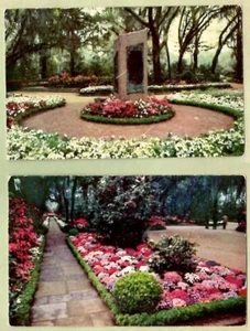 Bellgrath Gardens Mobile Alabama ~ Par de postales antiguas ~ ENVÍO GRATUITO - Imagen 1 de 2