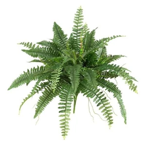 40 in. Artificial Boston Fern (Set of 2) - Picture 1 of 4