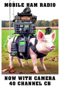 Go With Your Dreams domain name Godaddy GWYD TOP LEVEL no ps5 laptop gaming pc n - Picture 1 of 1