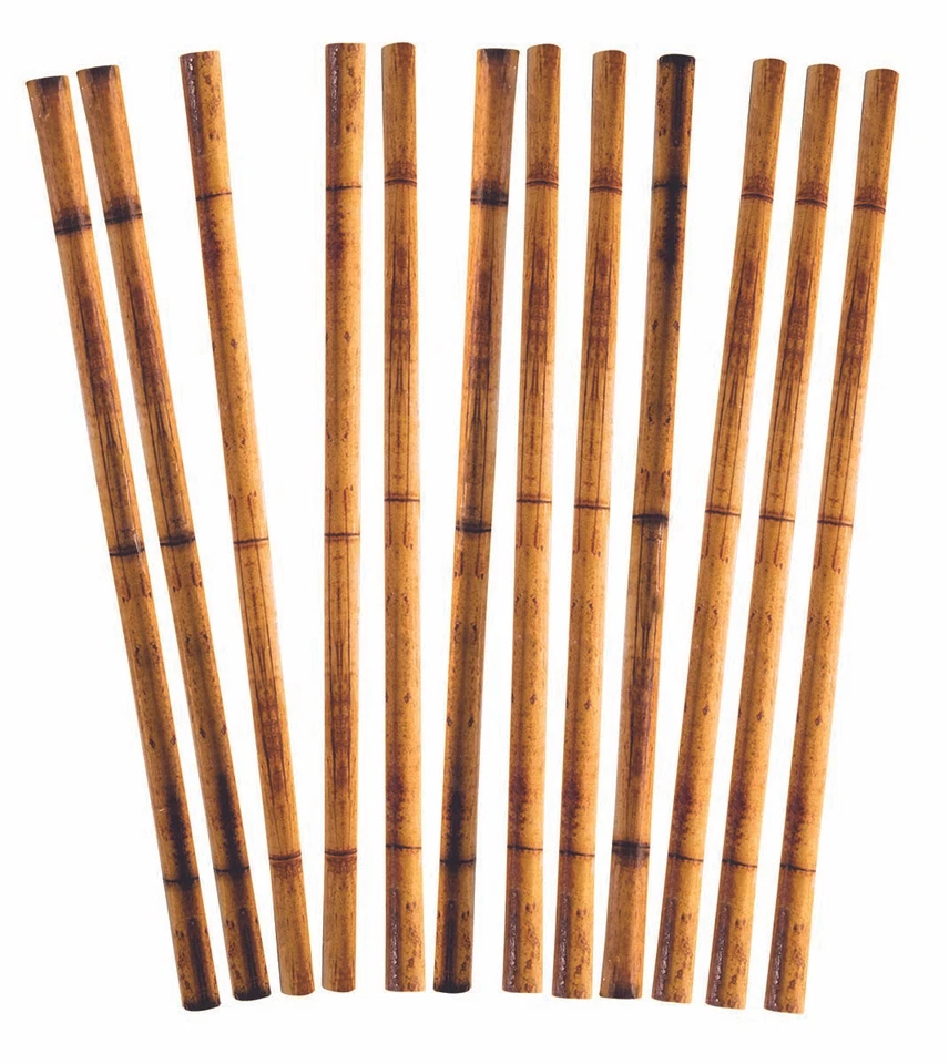 Forum Summer Luau Bamboo Printed 8" Disposable Paper Straws, 12 CT, Brown - Image 1 of 1