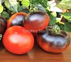 20x Indigo Apple Tomato Seeds - Vegetable