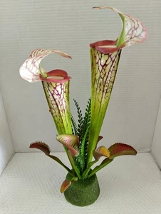 Jarra Planta y Venus Flytrap Decoración - Imagen 1 de 4