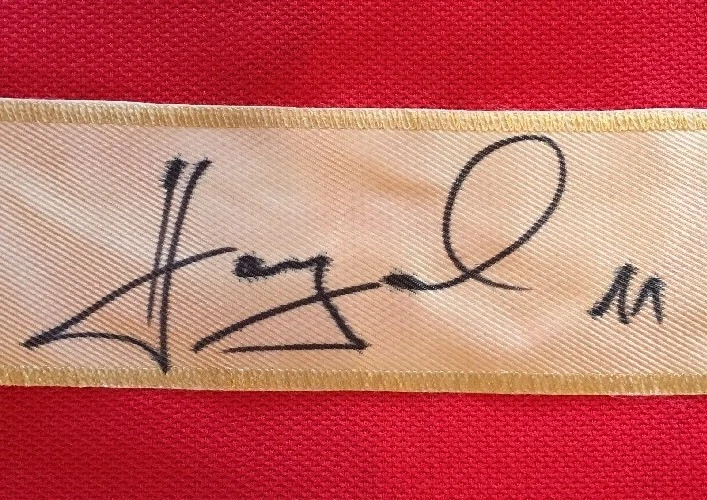 CAMISETA AUTOGRAFIADA POR MARTIN HANZAL PHOENIX COYOTES PSA/CERTIFICADO DE AUTENTICIDAD FIRMADA NHL AUTO Foto 1 de 1