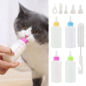 1 set Pet Feeding Bottle Kit Pet Nursing Kit Puppy Small Animal Syringe Feeding - Picture 1 of 16