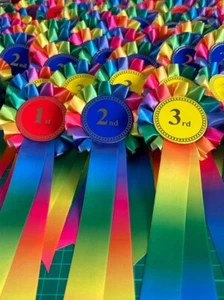 10 set arcobaleno 1° - 3° - 30 rosette spettacolo cane/cavallo evento freepost - Foto 1 di 3