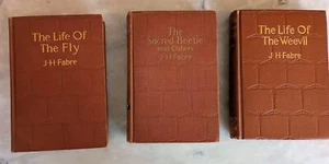 Three VTG Entomology Books by JJ Fabre  HC Dodd Mead - Imagen 1 de 11