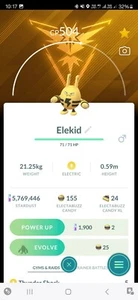 Pokemon Elekid ( Wearing Spark Accessory - Instinct Themed ) Go - Picture 1 of 2
