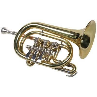 Karl Glaser Drehventil Taschentrompete Goldmessing Mundrohr Kugelgelenke Koffer - Bild 1 von 4