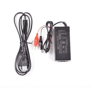 12V (14,6V) 3A CARICABATTERIA PER BATTERIE LIFEPO4 LITIO FERRO FOSFATO M7D1 - Foto 1 di 1
