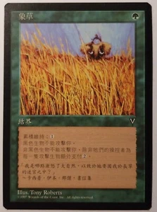 MTG/Visiones/1X Pasto de elefantes /Traditional Chinese/Excelent - Imagen 1 de 1