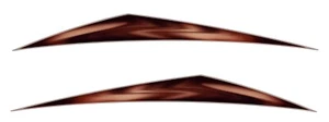 2 RV Camper Forest River Rockwood Decals Graphics-2825 - Foto 1 di 1