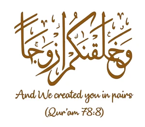 And we created you in pairs- arabic balloon vinyl - Picture 1 of 1