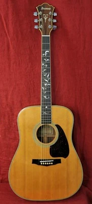 Guitarra Acústica Ibanez V390 Tree of Life Serie Vintage con Estuche Rígido Bonita Foto 1 de 4