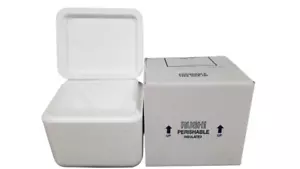 Propak Styrofoam Insulated Perishable /Meds Shipping Cooler Box with Carton Box - Picture 1 of 5