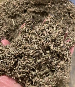 CHIP FRESCA A GRANEL NUEVA 2023 - HIERBA GATERA SUELTA ORGÁNICA CULTIVADA EN CASA, ALTA POTENCIA - 8 OZ - Imagen 1 de 4
