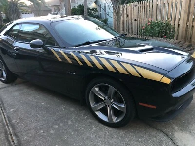 Dodge Challenger Front Quarter Panel Strobe Stripes 10-21 (15 Colors) Pre-Cut Foto 1 de 4