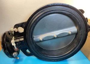 Sure Seal High Performance Butterfly Valve 6" 150 Wafer, CF8M - Picture 1 of 12