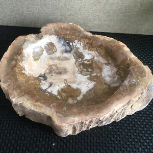 2950g Fósiles de madera natural cenicero cristal pulido Madagascar mt2210 - Imagen 1 de 12
