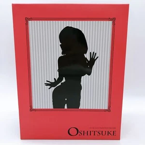 Native Oshitsuke Ishikei Original Character 1/6 Scale Figure Japan NEW AUTHENTIC - Picture 1 of 10