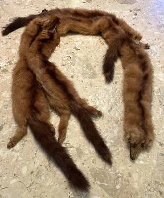 Vintage Mink Fur Stole 5 Whole Body Pelts Neck Wrap Shawl Collar - Image 1 of 4