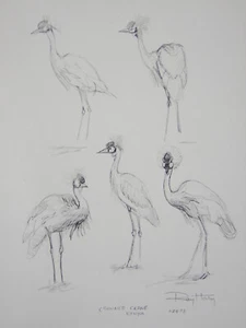 Ray Harm Crowned Crane #2 African Sketch Signed Art Print - Picture 1 of 1