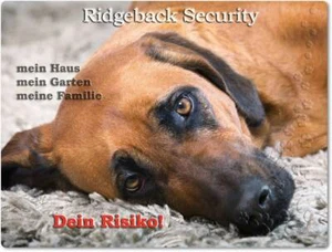 Warnschild - Schild aus Aluminium - Motiv: Rhodesian Ridgeback Security 02 - Bild 1 von 1