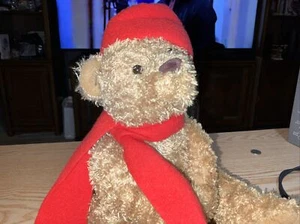 Puppet Magnet Hands Teddy Bear Winter Hat & Scarf Plush Toy 12" Used - Picture 1 of 24