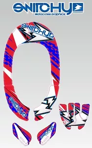 KIT ADESIVI GRAFICHE INSTINCT "C" NECK BRACE ALPINESTARS PRIMO MODELLO - Imagen 1 de 1
