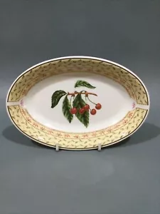Johnson’s Brothers “ Fruit Sampler “ Gravy Boat Stand / Pickle Dish - Picture 1 of 4
