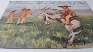 Vintage 1904 Cowboy Kid on Donkey Life in the Wild and Wooly West Postcard P8 - Picture 1 of 5