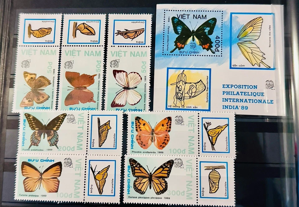 1989 Vietnam stamp SET + MINISHEET BUTTERFLIES MNH - Image 1 of 1