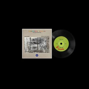 David Gray/Stick In The Endless Coloured Ways: The Songs of  (Vinyl) (US IMPORT) - Picture 1 of 1