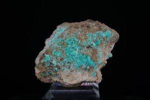 Aurichalcite / Apex Mine, Utah / USA Classic Mineral Specimen - Bild 1 von 5