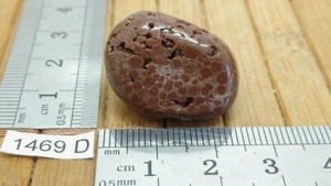 OOLITE d'Allemagne - pierre roulee naturelle de qualité - reiki lithotherapie - Imagen 1 de 2