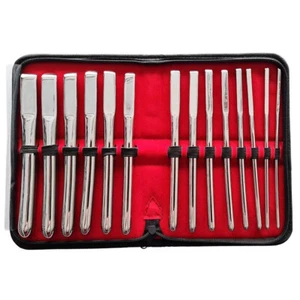 Rouge Stainless Steel Hegar 14 Piece Uterine Dilator Set - Picture 1 of 4